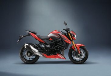 Suzuki Dekorsats "Grey"