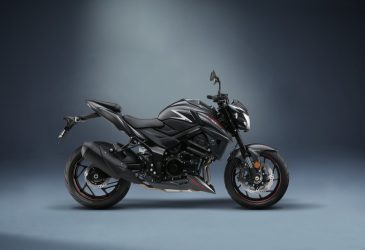 Suzuki Dekorsats "Silver"