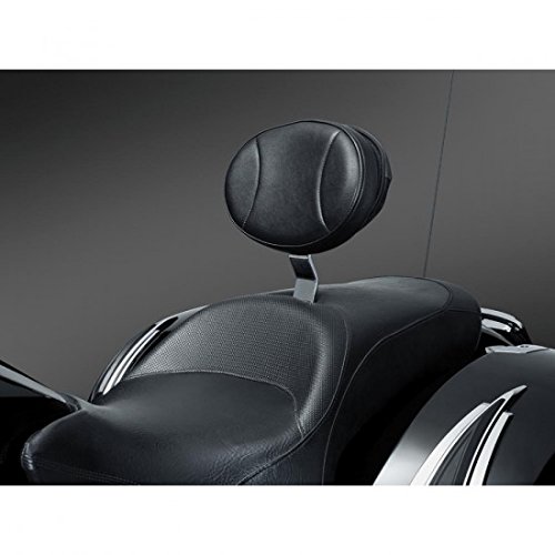 kuryakynk backrest for victory