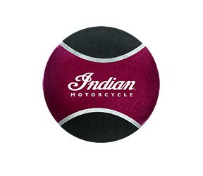 Indian hundleksak