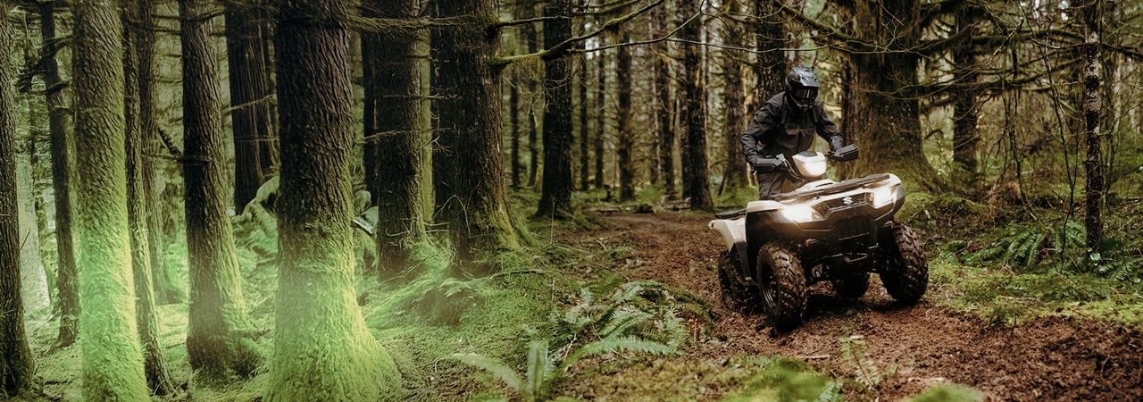 Kingquad 750